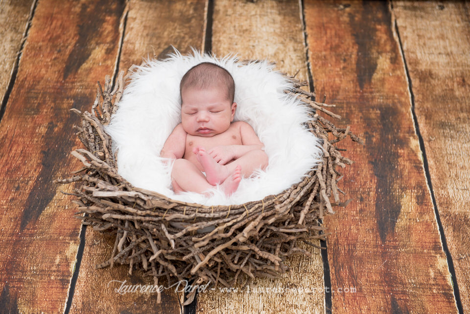 hoto nid d'ange bebe studio essonne